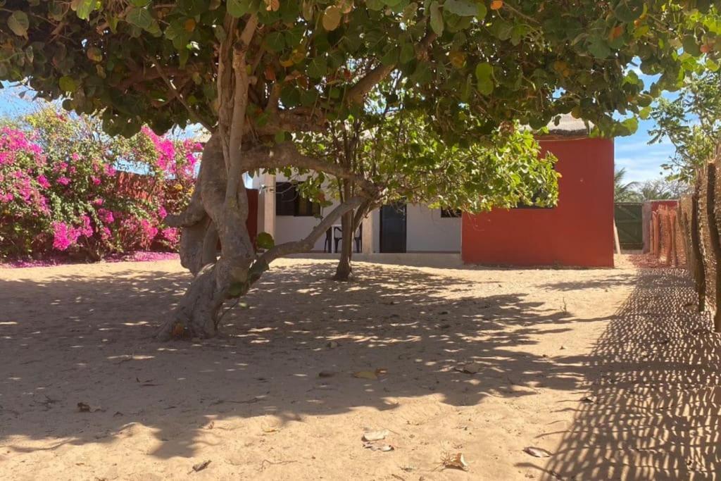 Petite Maison En Bord De Mer Palmarin Nguedj Luaran gambar